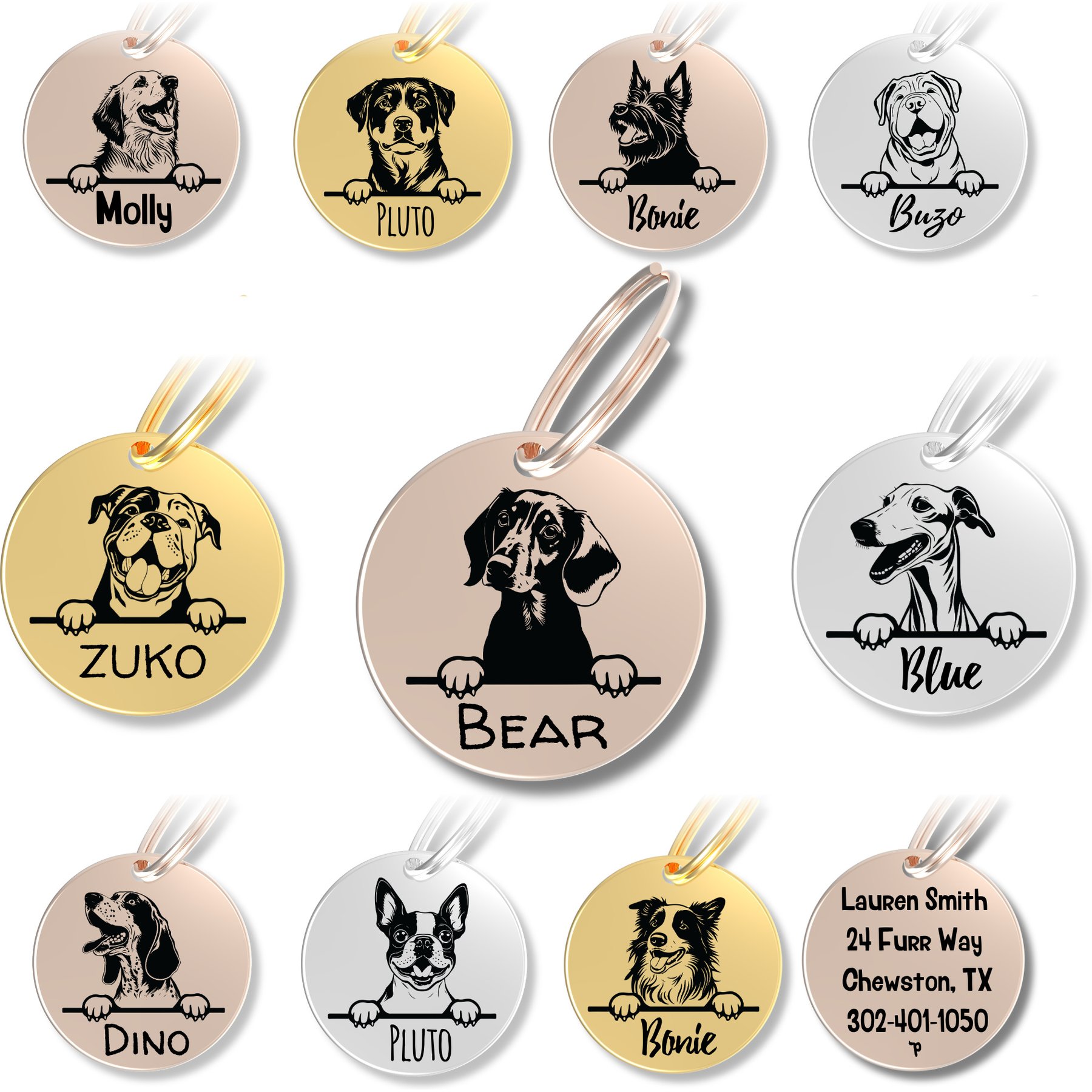 PawFurEver Dog Breed Stainless Steel Personalized Dog ID Tag, Dachshund, Rose