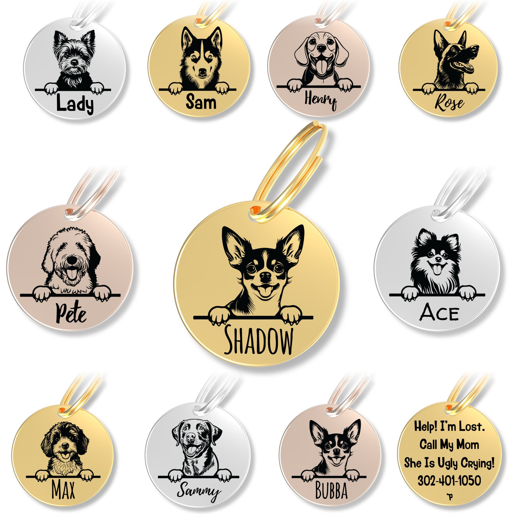PawFurEver Dog Breed Stainless Steel Personalized Dog ID Tag, Chihuahua, Gold