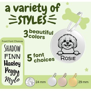 PawFurEver Dog Breed Stainless Steel Personalized Dog ID Tag, Labrador Retriever, Silver