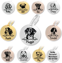 PawFurEver Dog Breed Stainless Steel Personalized Dog ID Tag, Labrador Retriever, Silver
