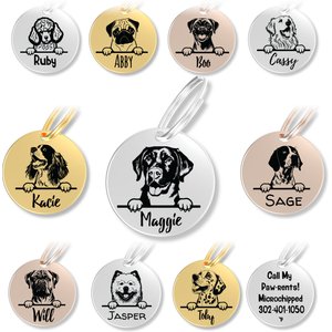 PawFurEver Dog Breed Stainless Steel Personalized Dog ID Tag, Labrador Retriever, Silver