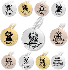 PawFurEver Dog Breed Stainless Steel Personalized Dog ID Tag, Golden Retriever, Silver