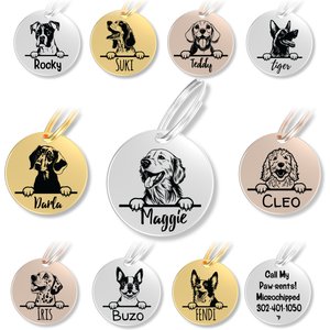 PawFurEver Dog Breed Stainless Steel Personalized Dog ID Tag, Golden Retriever, Silver