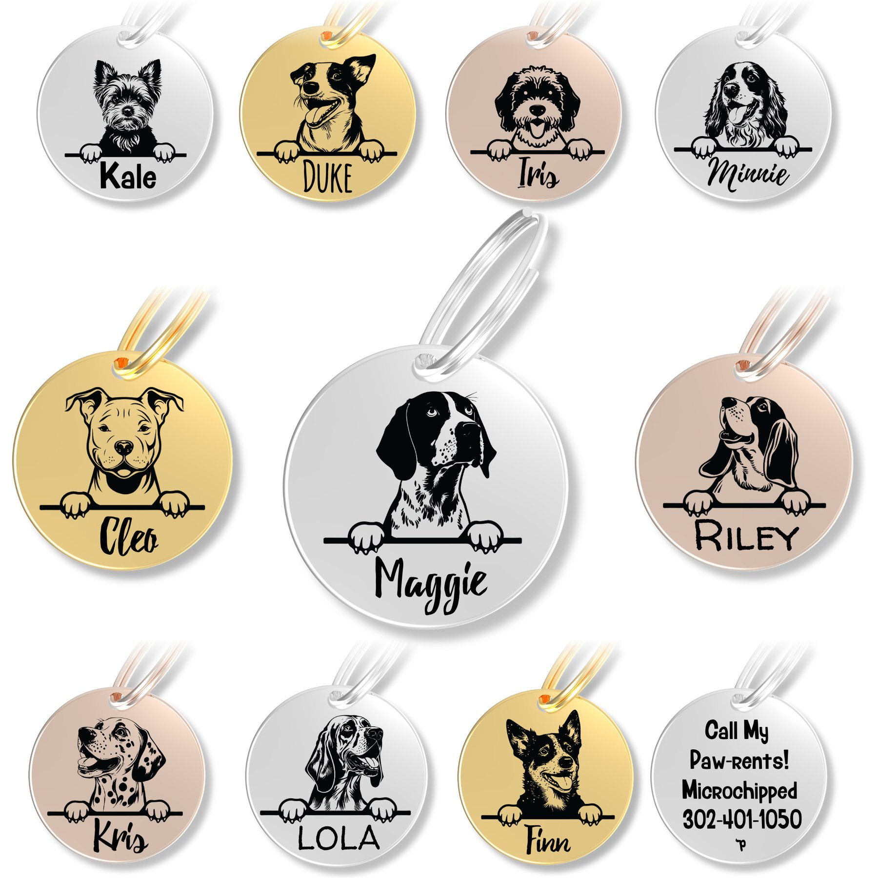 PawFurEver Dog Breed Stainless Steel Personalized Dog ID Tag, German Shorthair, Silver
