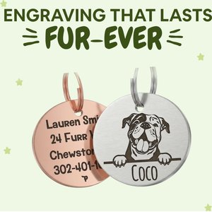 PawFurEver Dog Breed Stainless Steel Personalized Dog ID Tag, Labrador Retriever, Silver