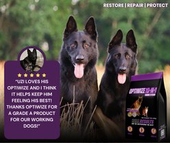 OptiWize 10-N-1 Vitamin & Mineral Liver Flavored Powder Joint Supplement for Dogs & Cats, 12-oz slide 2 of 5