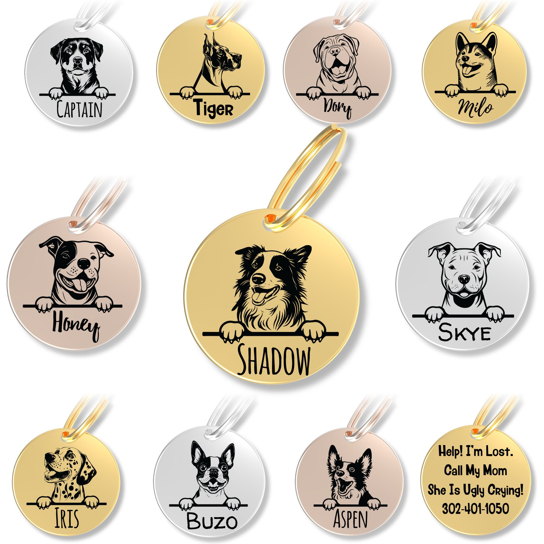 PawFurEver Dog Breed Stainless Steel Personalized Dog ID Tag, Border Collie, Gold