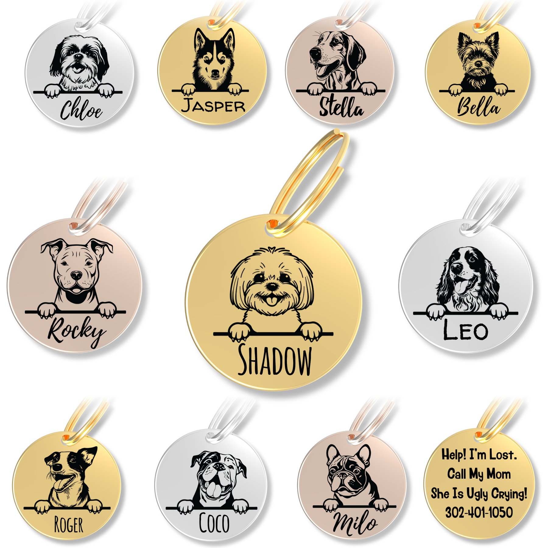 PawFurEver Dog Breed Stainless Steel Personalized Dog ID Tag, Bichon, Gold