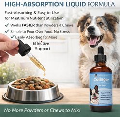 Warren London Collagen Liquid Supplement for Dogs, 4-fl oz slide 2 of 7