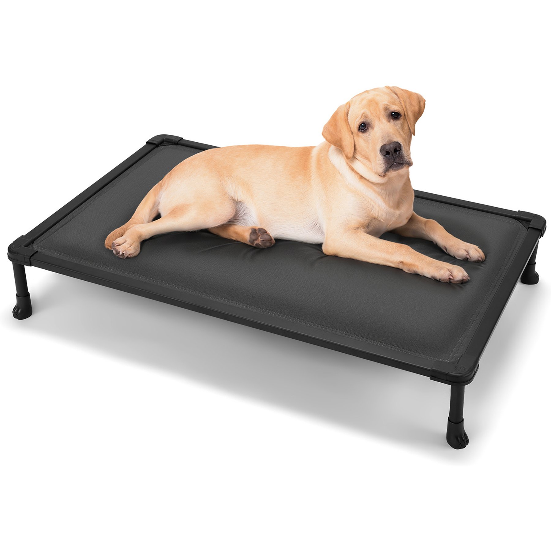 Veehoo Chewproof Padded Cooling Elevated Cot Dog Bed, Grey, X-Large