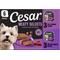 Show in main carousel: Cesar Classic Loaf in Sauce Variety Pack Adult Filet Mignon & Grilled Chicken Wet Dog Food Trays, 3.5-oz, 6 count slide 1 of 10