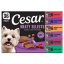 Cesar Classic Loaf in Sauce Variety Pack Grain-Free Small Breed Adult Wet Dog Food Trays, 3.5-oz, case of 36