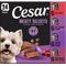 Show in main carousel: Cesar Classic Loaf in Sauce Beef Recipe, Filet Mignon, Grilled Chicken & Porterhouse Steak Flavors Variety Pack Grain-Free Small Breed Adult Wet Dog Food Trays, 3.5-oz, case of 24 slide 1 of 11