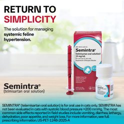 Semintra (telmisartan) Oral Solution for Cats, 10 mg/mL, 35-mL slide 2 of 8