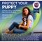 Show in main carousel: NexGard PLUS Chewables for Dogs, 33.1-66 lbs. (Purple Box) 3 Chewable Tablets (3-mos. supply) slide 6 of 10