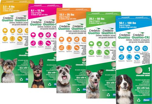 Show full view: Credelio Quattro/Credelio Quattro-CA1 Chewable Tablets for Dogs, 50.1-100 lbs, 1 Chewable (1-mo. supply) slide 7 of 7