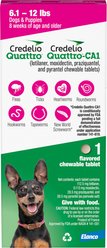 Credelio Quattro/Credelio Quattro-CA1 Chewable Tablets for Dogs, 6.1-12 lbs, 1 Chewable (1-mo. supply)