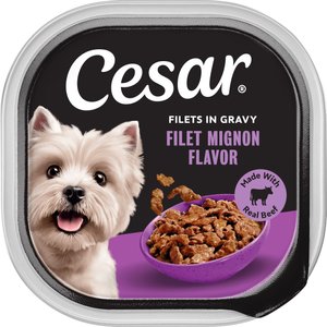 cat slow feeder wet food Maple Slow Feeder Bowl