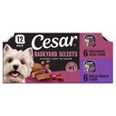 Cesar Backyard Cookout Variety Pack Grilled Chicken Flavor & Porterhouse Steak Flavor Adult Wet Dog Food, 3.5-oz trays, case of 12