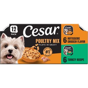 Cesar Poultry Lovers Turkey & Chicken Filets in Gravy Variety Pack Small Breed Adult Wet Dog Food Trays, 3.5-oz, case of 12