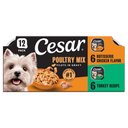 Cesar Poultry Lovers Turkey & Chicken Filets in Gravy Variety Pack Small Breed Adult Wet Dog Food Trays, 3.5-oz, case of 12