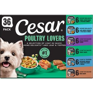Cesar Poultry Lovers Variety Pack Small Breed Adult Wet Dog Food Trays, 3.5-oz, case of 36