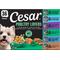 Show in main carousel: Cesar Poultry Lovers Variety Pack Small Breed Adult Wet Dog Food Trays, 3.5-oz, case of 36 slide 1 of 10
