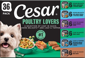 Cesar Poultry Lovers Variety Pack Small Breed Adult Wet Dog Food Trays, 3.5-oz, case of 36