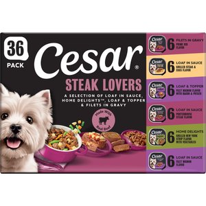 33 qt plastic dog food container 13/33LB Collapsible Pet Dog Food Storage Container  PuppiPaw
