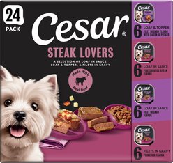 Cesar Steak Lovers Variety Pack Small Breed Adult Wet Dog Food, 3.5-oz, case of 24