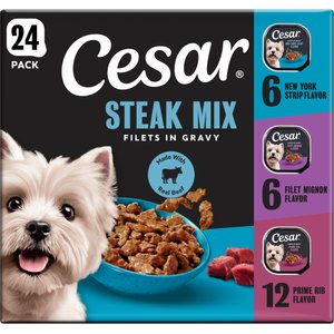 Cesar Filets in Gravy Beef Flavors Variety Pack Small Breed Adult Wet Dog Food, 3.5-oz tray, case of 24