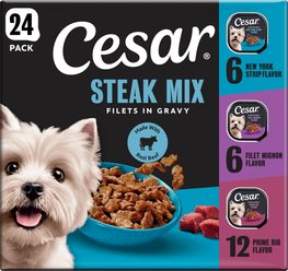 Cesar Filets in Gravy Beef Flavors Variety Pack Small Breed Adult Wet Dog Food, 3.5-oz tray, case of ...