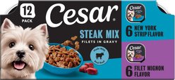 Cesar Filets in Gravy Beef Variety Pack Small Breed Adult Wet Dog Food Trays, 3.5-oz, case of 12