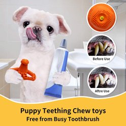 Petopia Sippy Cup Chew Dog Toy, Purple, Small slide 2 of 9