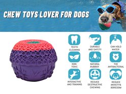 Petopia Summer Is Here Floating Dog Toy, Purple Yellow, Large slide 2 of 9