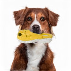 Petopia Vintage Hole Shoes Interactive Dog Toy, Yellow-Gray, Large