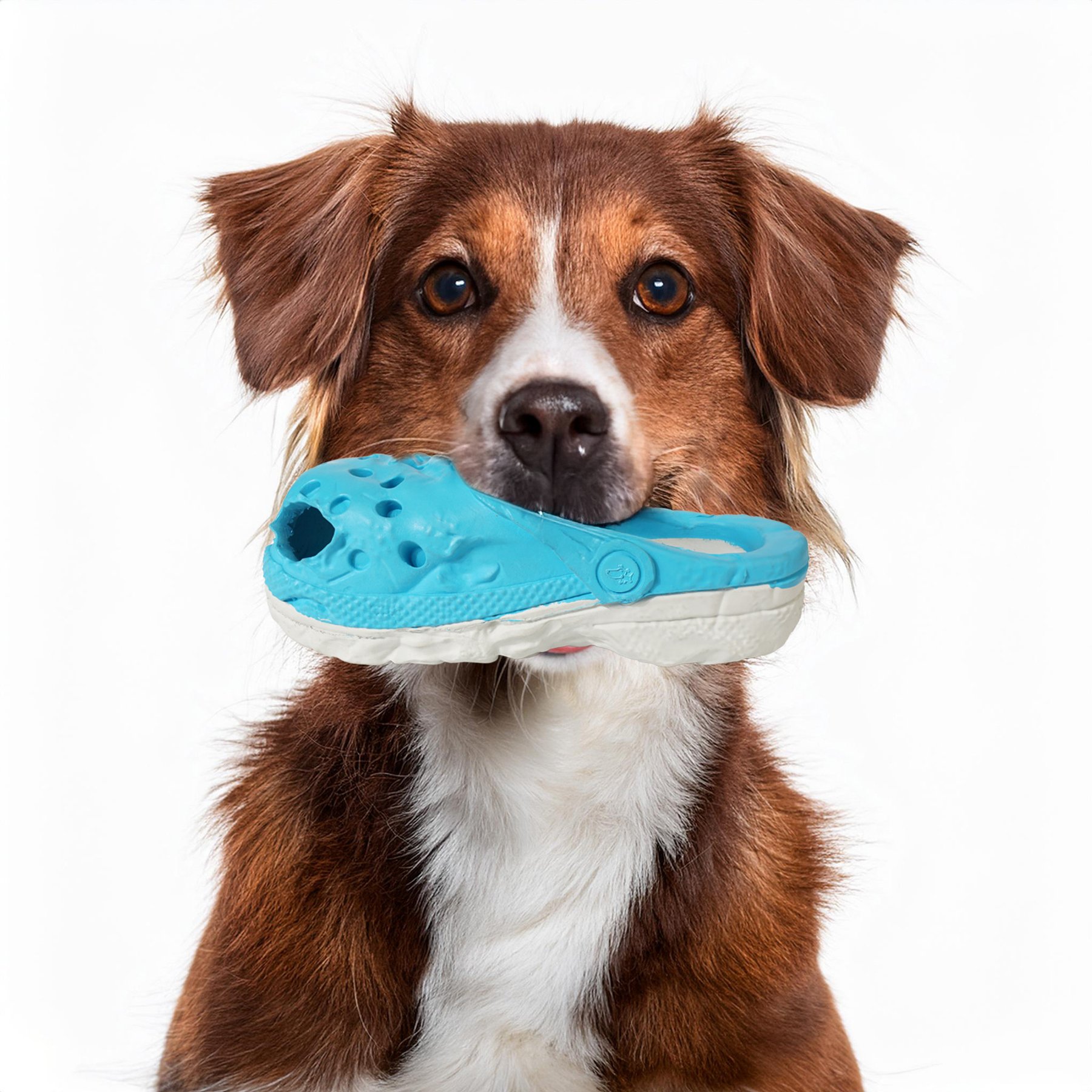 Petopia Vintage Hole Shoes Interactive Dog Toy, Blue-Gray, Large