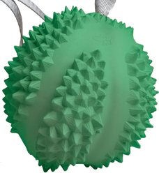 Petopia Fragrant Durian Interactive Dog Toy, Greenish Yellow, Large