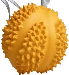 Petopia Fragrant Durian Interactive Dog Toy, Earthy Yellow, Large