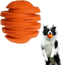 Petopia Sliced Orange Interactive Dog Toy, Orange, Medium