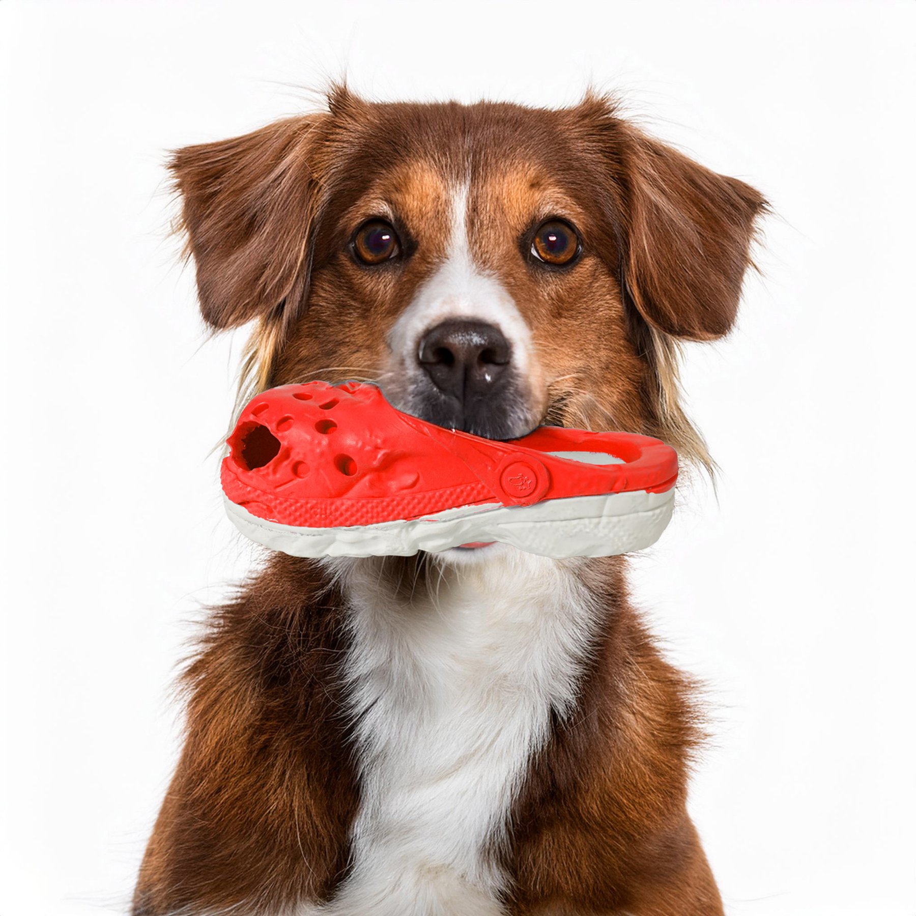 Petopia Vintage Hole Shoes Interactive Dog Toy, Red-Gray, Small