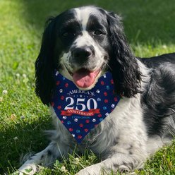 PGS Paw Personalized Dog Bandana, Red/White/Blue, Small slide 2 of 2