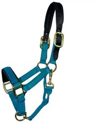 Intrepid International Premium Nylon Breakaway Halter with Padded Crown/Nose, Teal, Large Horse