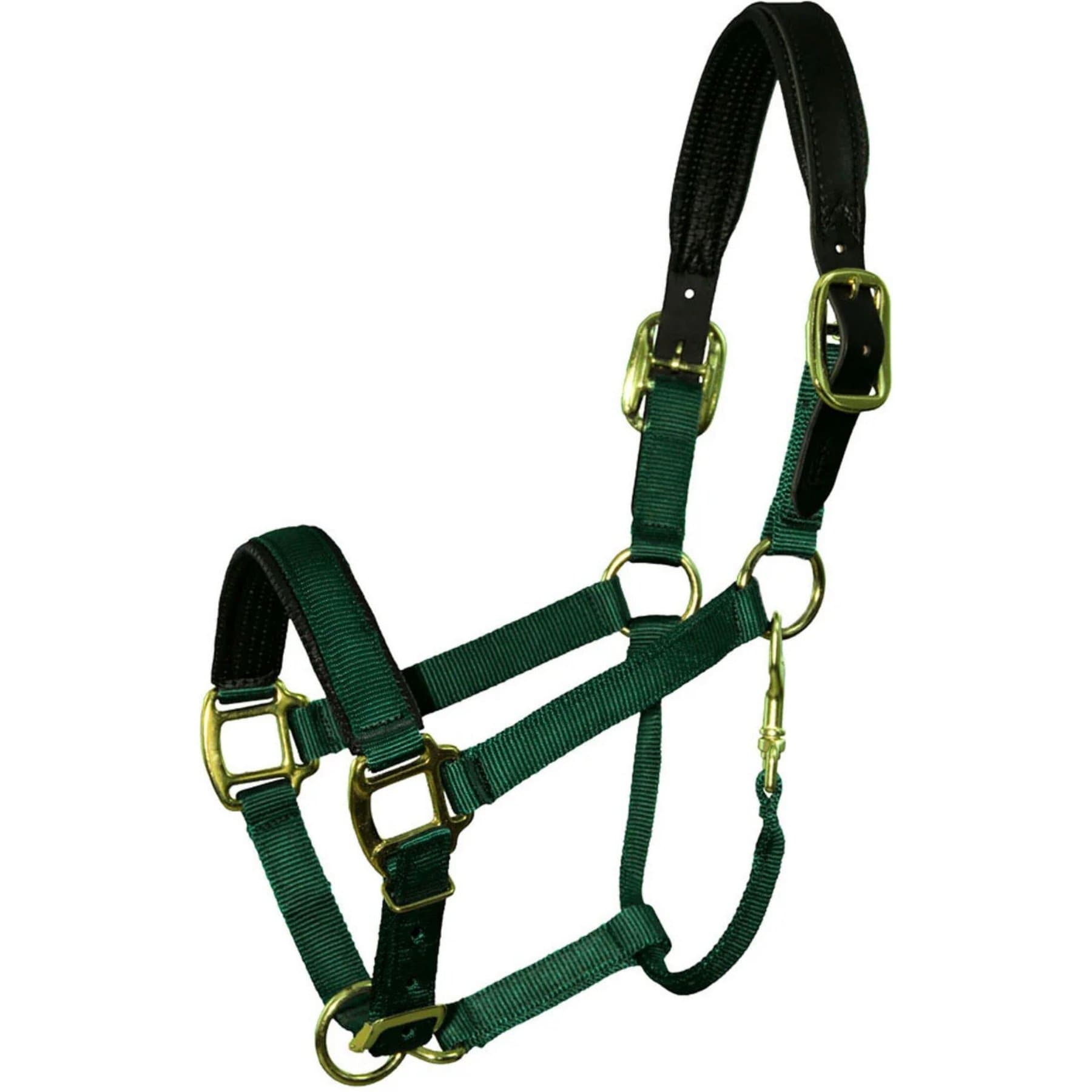 Intrepid International Premium Nylon Breakaway Halter with Padded Crown/Nose, Hunter Green, Horse