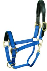 Intrepid International Premium Nylon Breakaway Halter with Padded Crown/Nose, Blue, Horse