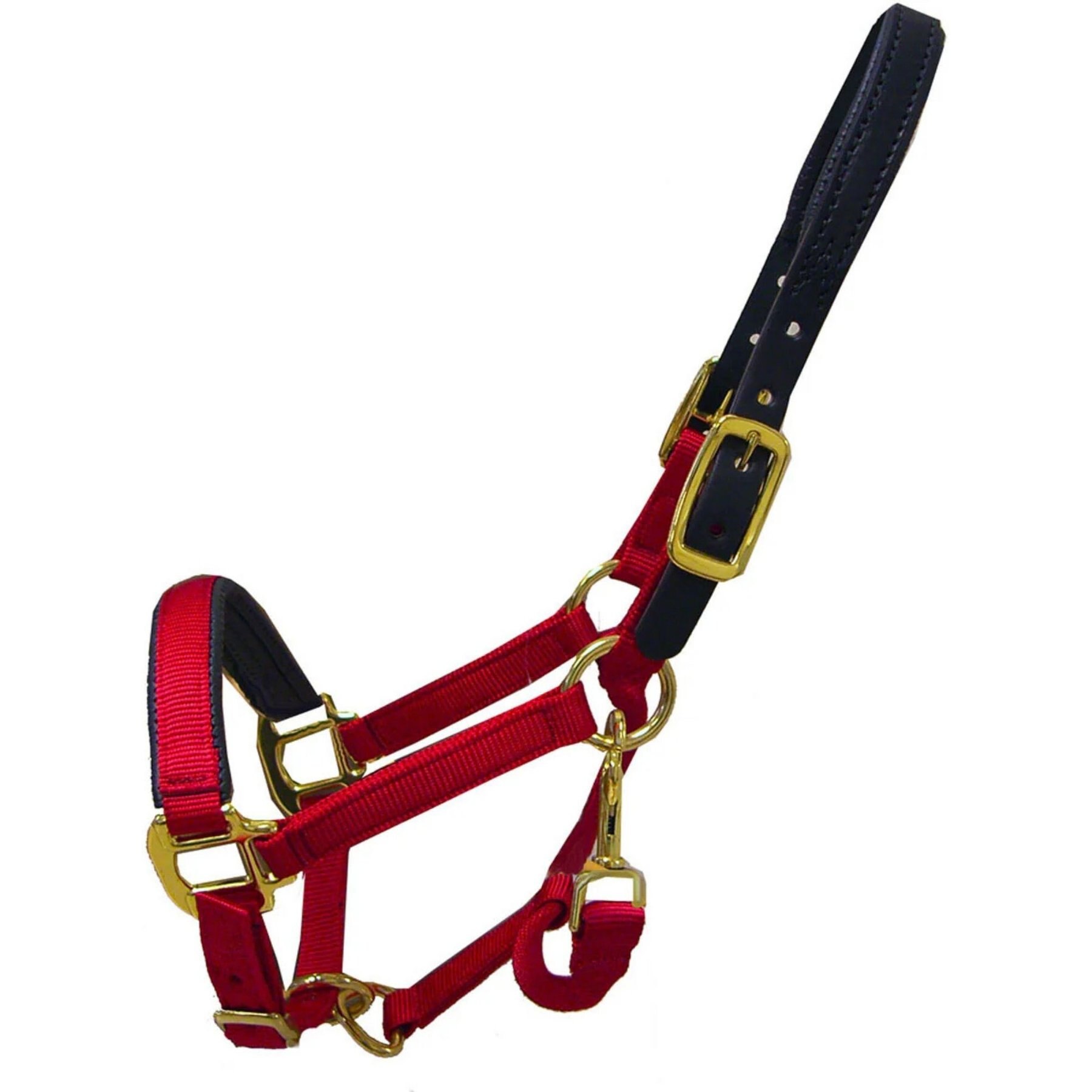 Intrepid International Premium Nylon Breakaway Halter with Padded Crown/Nose, Red, Cob