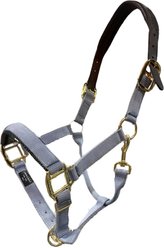 Intrepid International Premium Nylon Breakaway Halter with Padded Crown/Nose, Light Gray, Cob
