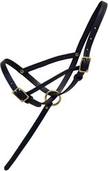 Intrepid International Leather Foal Slip Halter with Grab Strap, Brown