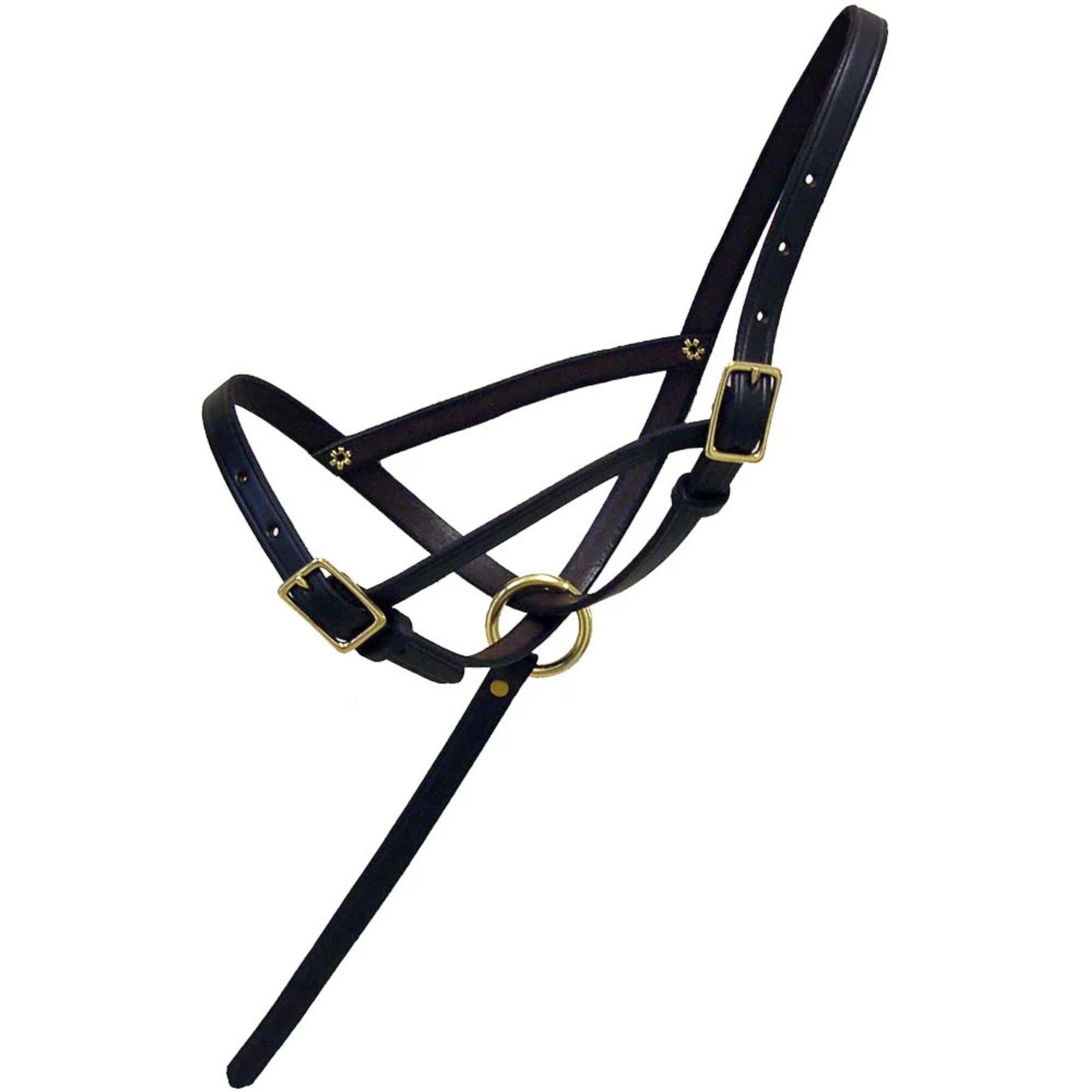Intrepid International Leather Foal Slip Halter with Grab Strap, Brown