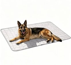 Mora Pets Anti-Slip Bottom Cooling Washable Quilted Dog Crate Mat Bed, Grey, X-Large